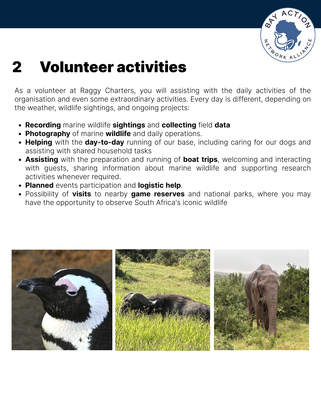 4.Volunteer